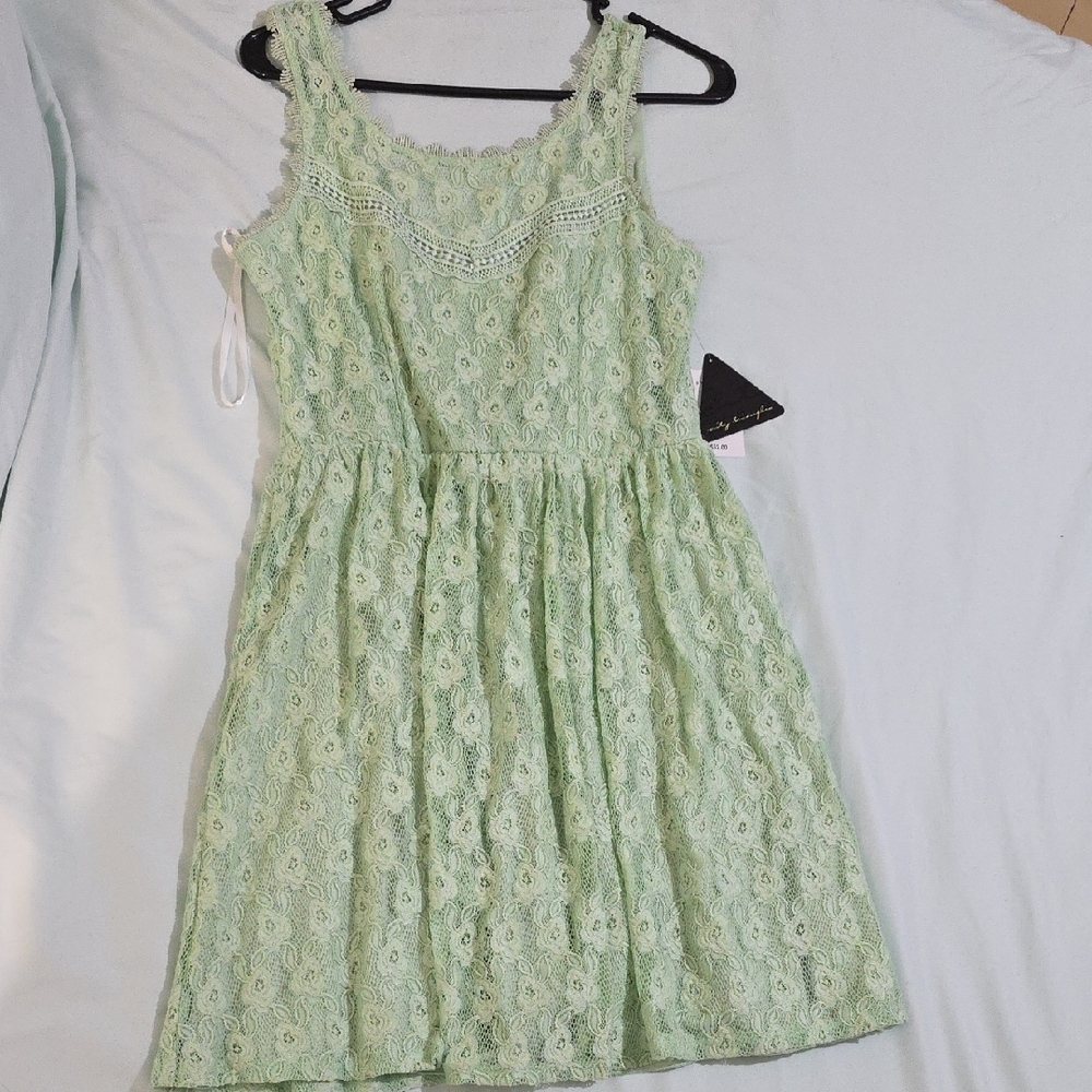 City Triangles Light Green Lace Dress